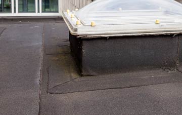 disadvantages of Cow Green flat roofs