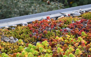 the cost of Cow Green green roof installation