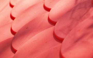 Cow Green plastic roof costs