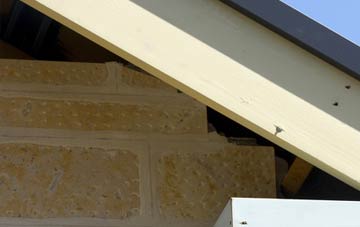 soffit repair Cow Green
