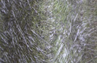 Cow Green fibreglass roof work