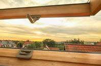 rated Cow Green roof window companies